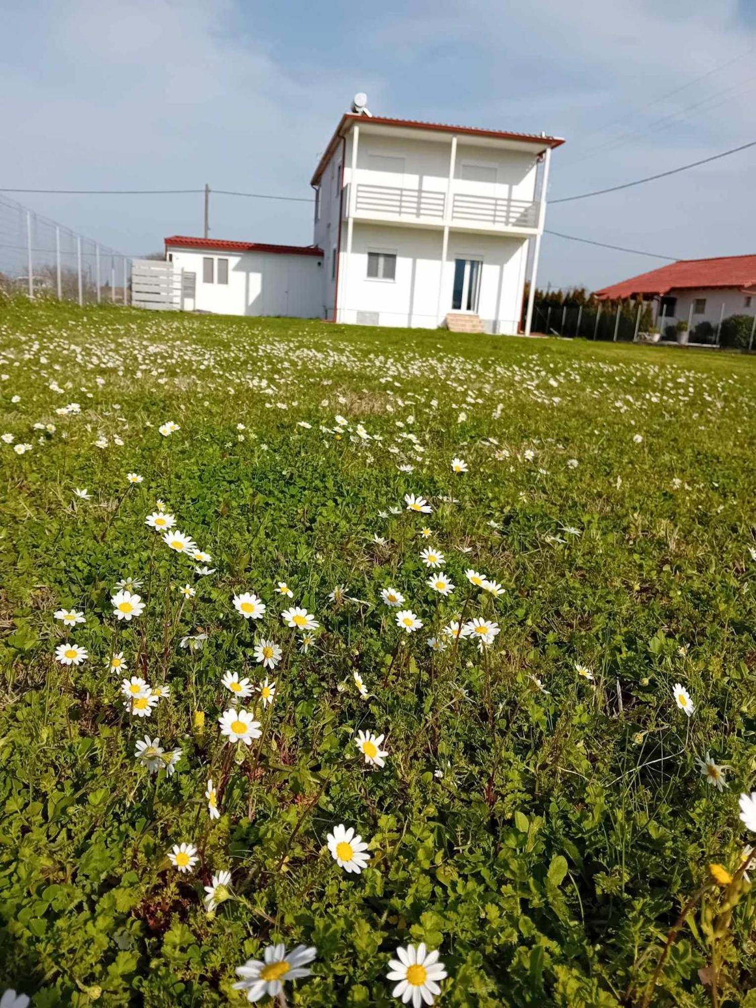 Countryside Apartments First Floor Trikala  Bagian luar foto