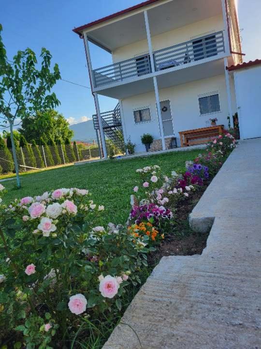 Countryside Apartments First Floor Trikala  Bagian luar foto